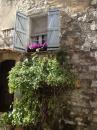 Mougins Window Box: This is a typical window box found the the beautiful village of Mougins